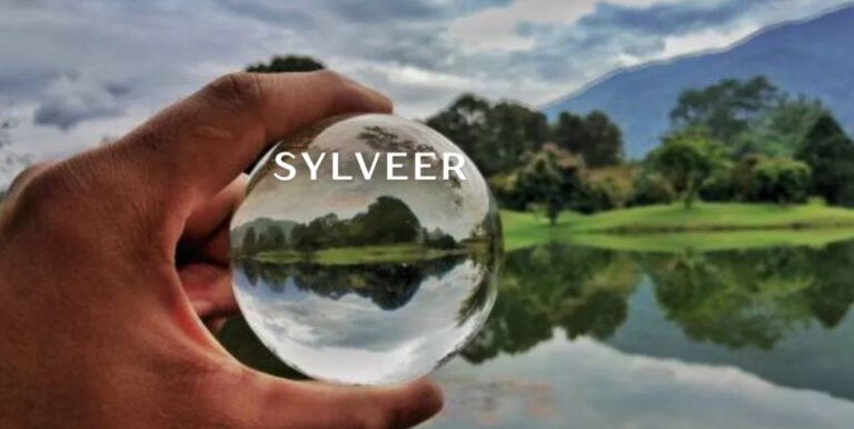 Sylveer and Sustainability How This Phenomenon is Shaping Our Future