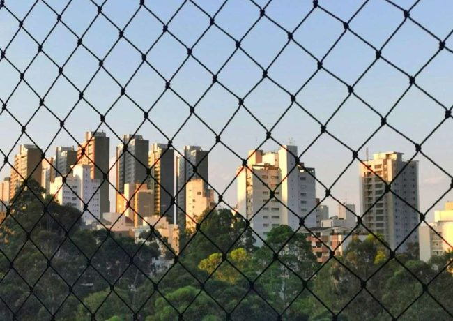 Eco Friendly Bird Control with Bird Spikes in Sharjah