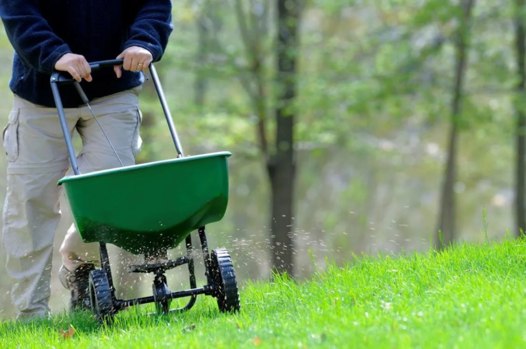 How to Maintain Healthy Lawns Year-Round