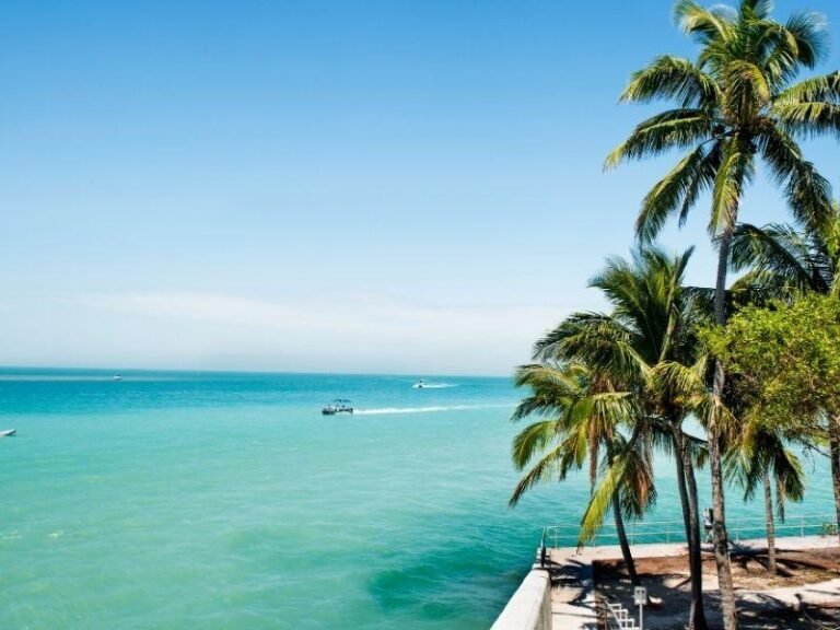 Palm Beach Wildlife Services