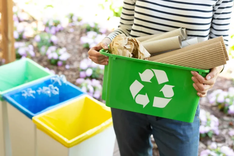 Matarecycler How This Innovative Platform is Changing the Recycling Game