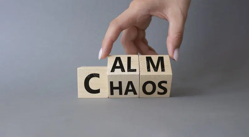 The Freedom of Less: How Sorted Turns Chaos into Calm