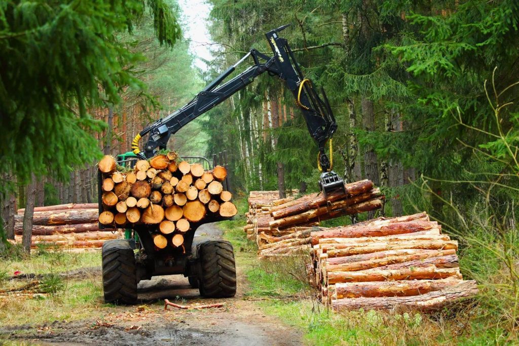Logging Modern Techniques: Combining Efficiency, Sustainability, and ...