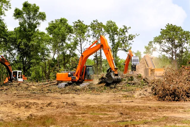 A Comprehensive Understanding of Land Clearing and Its Importance for Property and Environmental Management