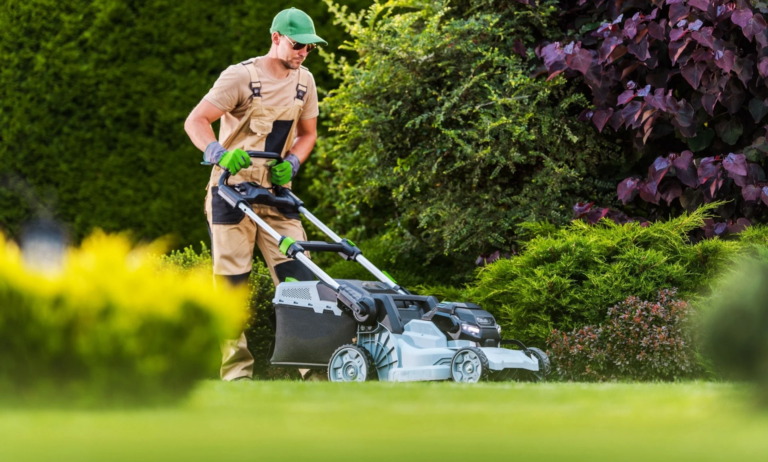 The Complete Guide to Effective Lawn Maintenance for a Healthy and Beautiful Yard