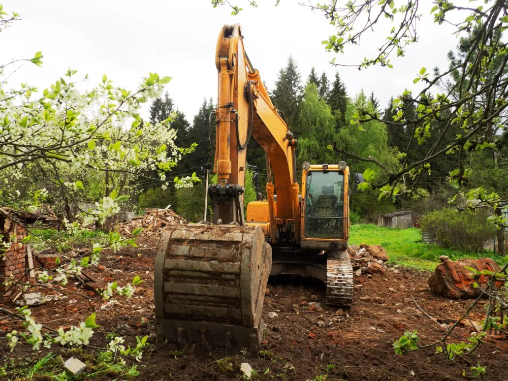 Complete Guide to Land Clearing: Efficient and Sustainable Practices